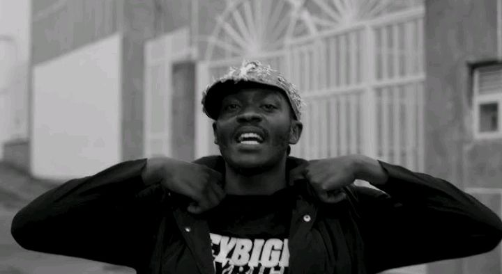 Blackish B1 Zilla